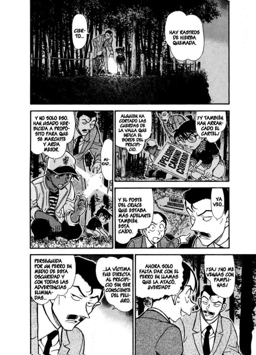 Detective Conan capítulo 738 página 5