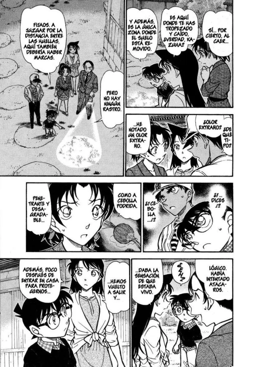 Detective Conan capítulo 738 página 8