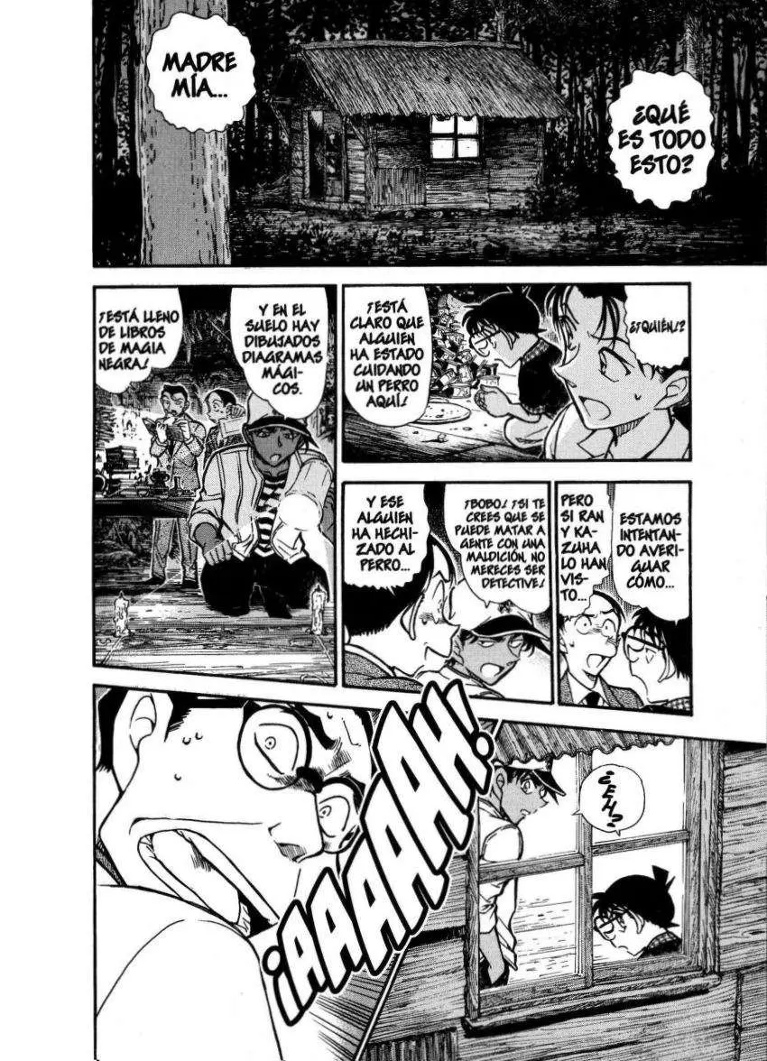 Detective Conan capítulo 738 página 13