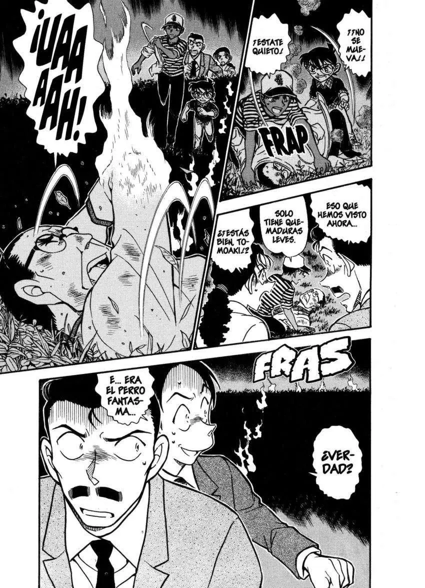 Detective Conan capítulo 738 página 15