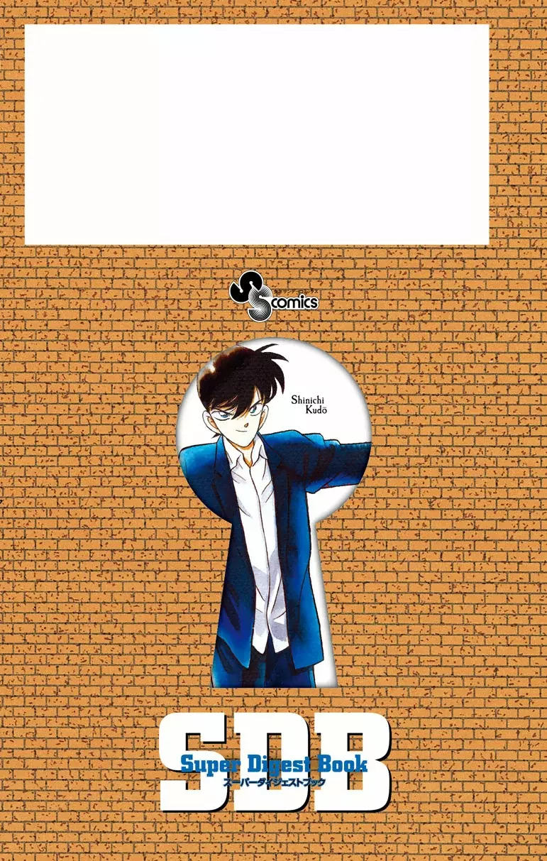Detective Conan capítulo 740.5 página 13