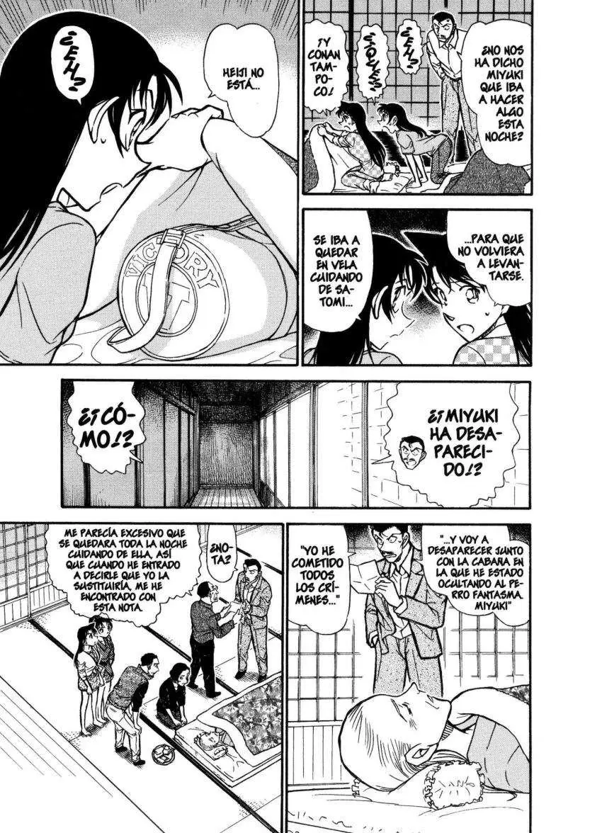 Detective Conan capítulo 740 página 8