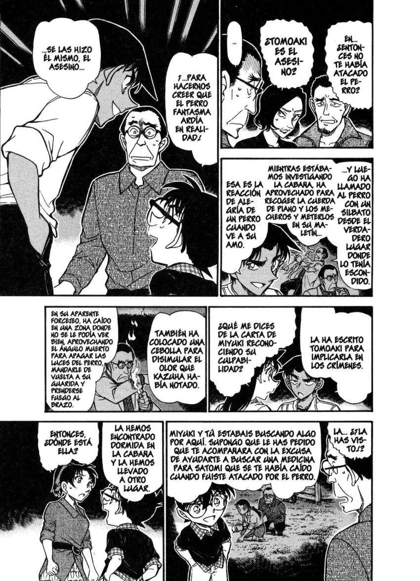 Detective Conan capítulo 740 página 14