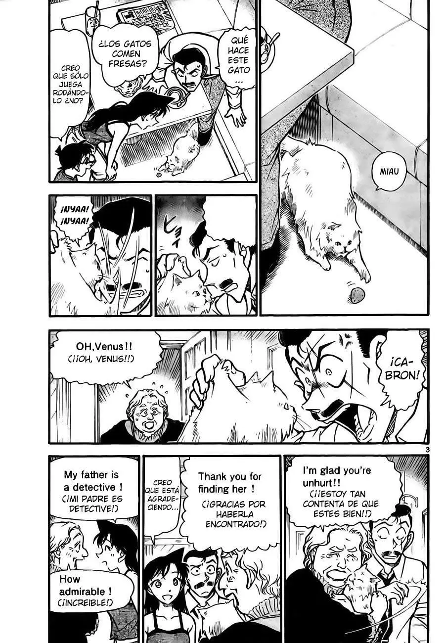 Detective Conan capítulo 743 página 3