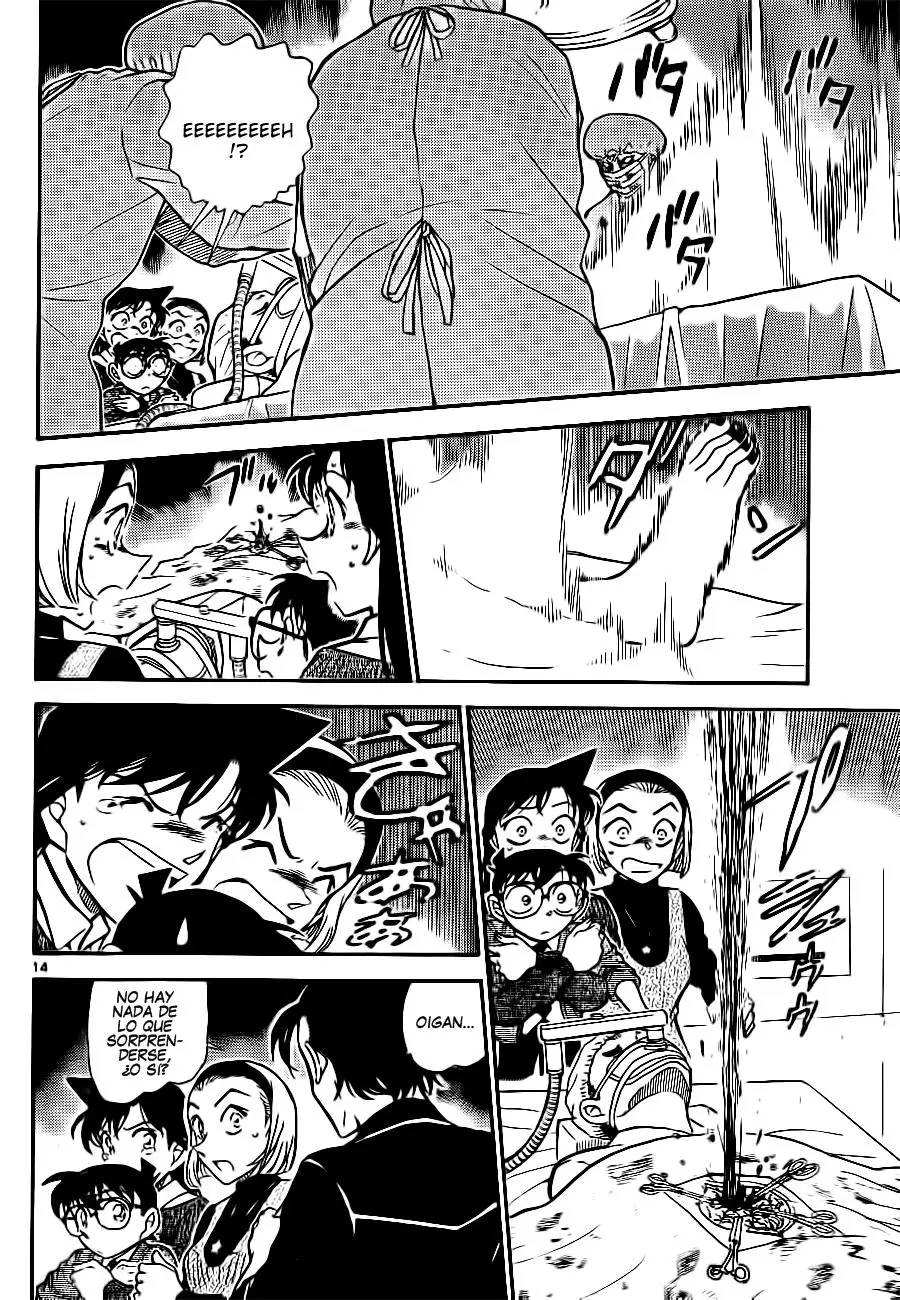 Detective Conan capítulo 756 página 14