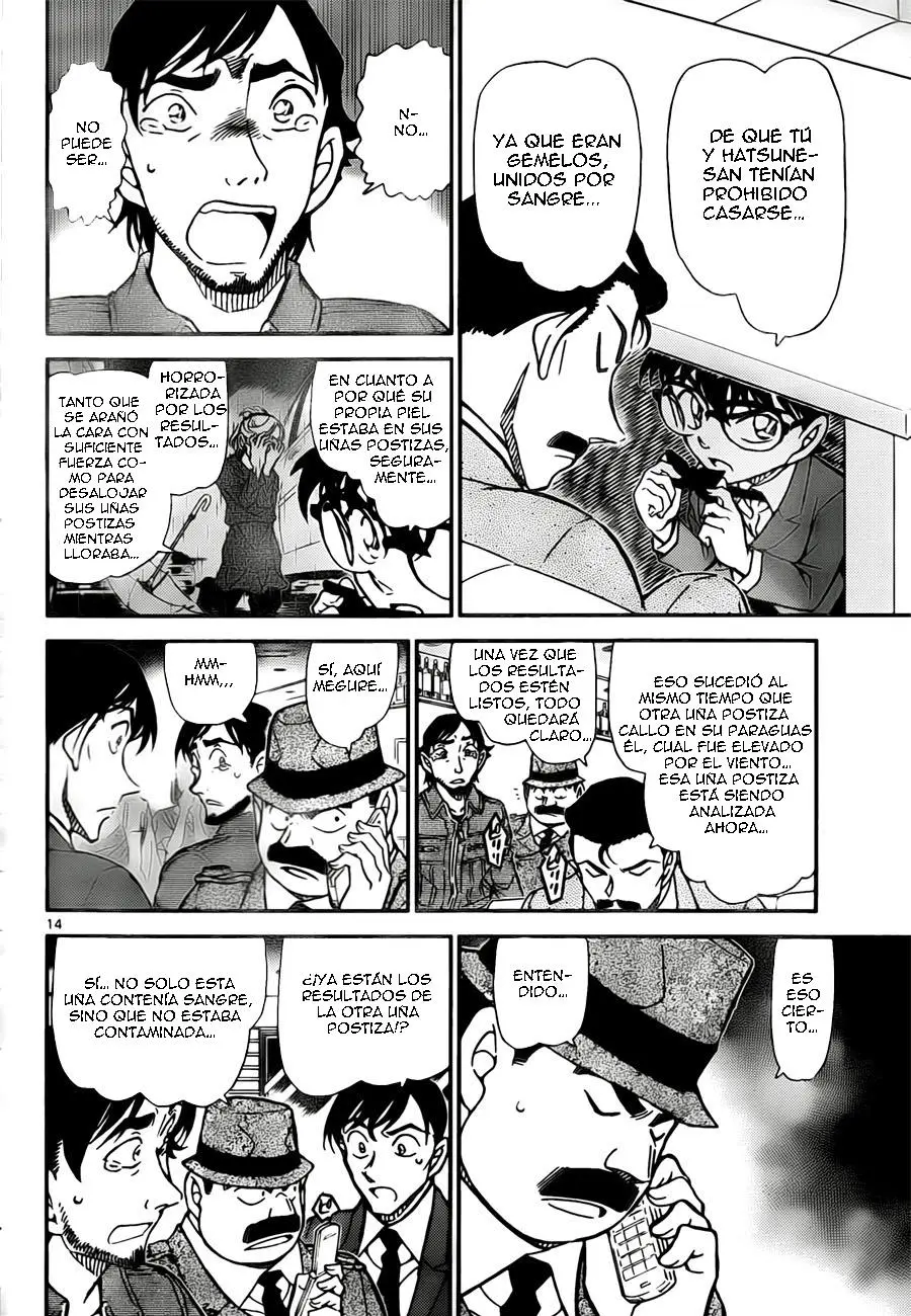 Detective Conan capítulo 795 página 14