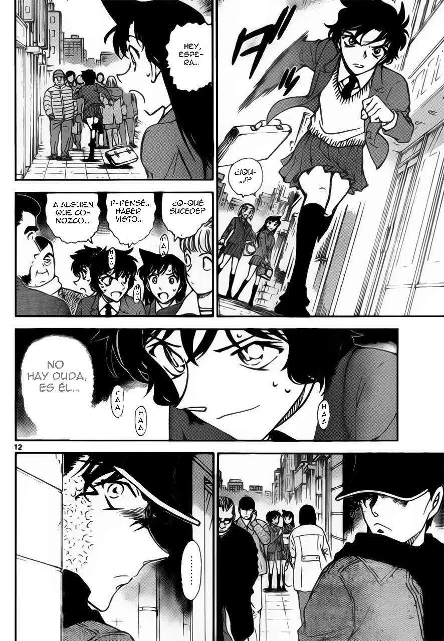 Detective Conan capítulo 801 página 13