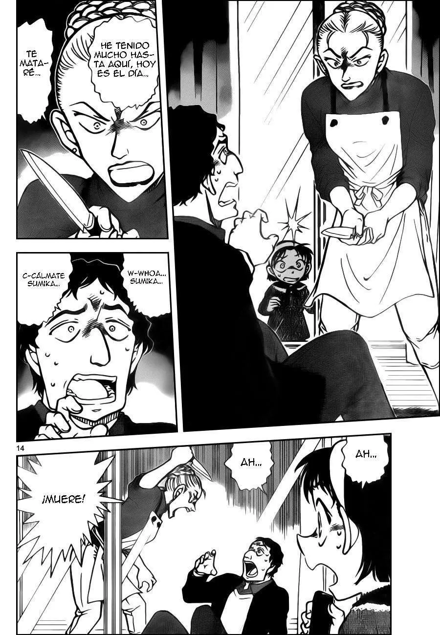 Detective Conan capítulo 801 página 15