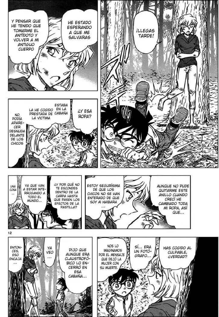 Detective Conan capítulo 817 página 12