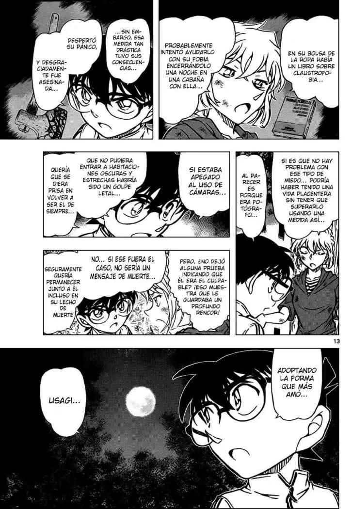 Detective Conan capítulo 817 página 13