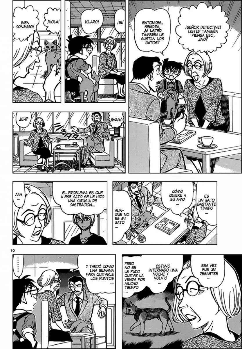 Detective Conan capítulo 865 página 11