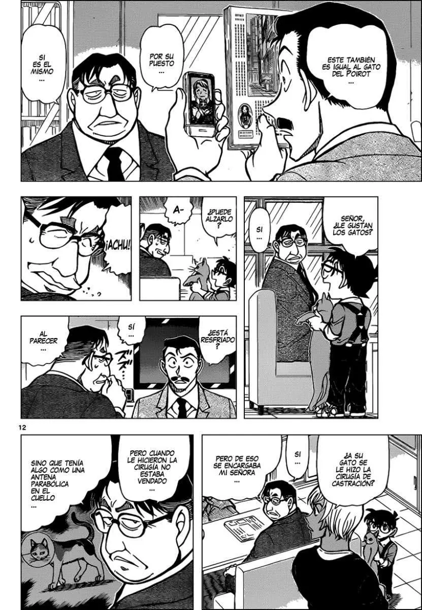 Detective Conan capítulo 865 página 13