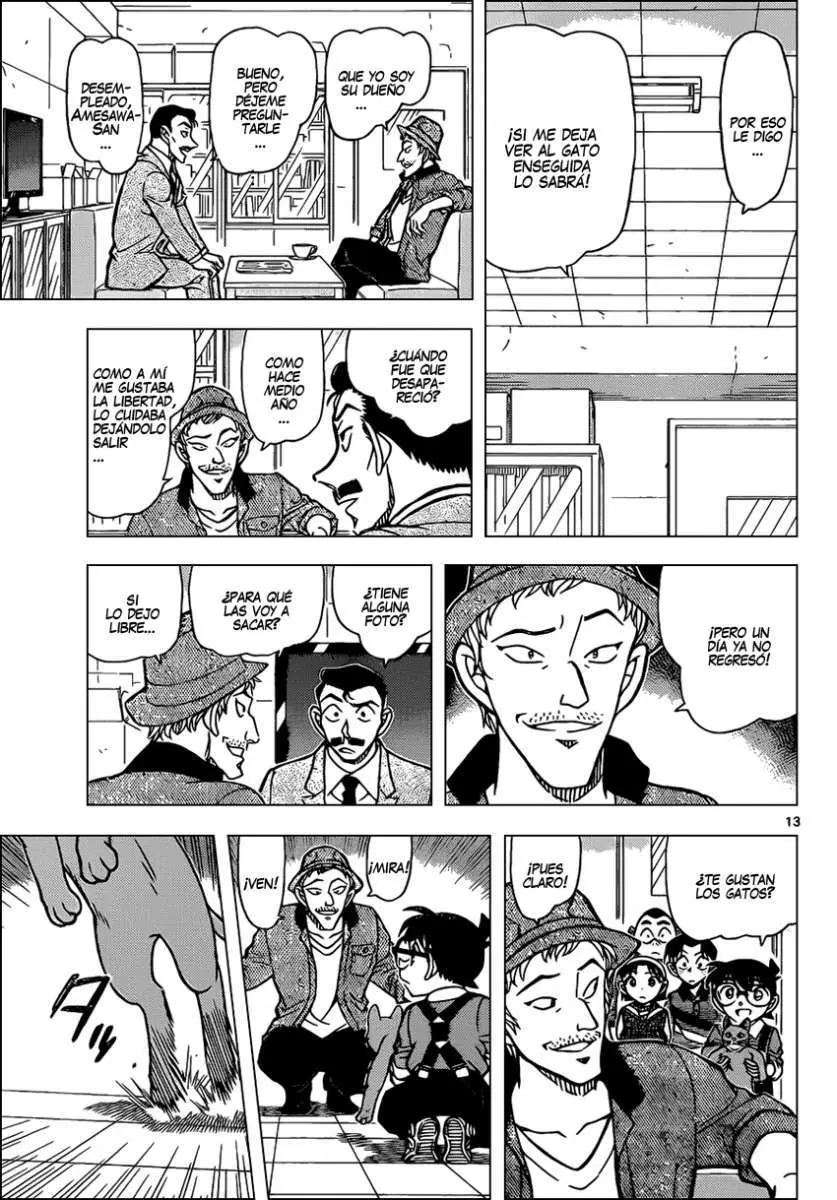 Detective Conan capítulo 865 página 14