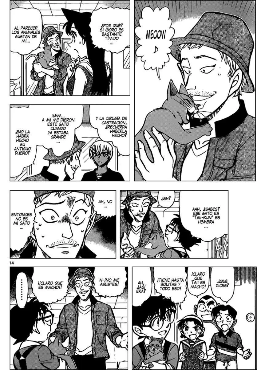 Detective Conan capítulo 865 página 15