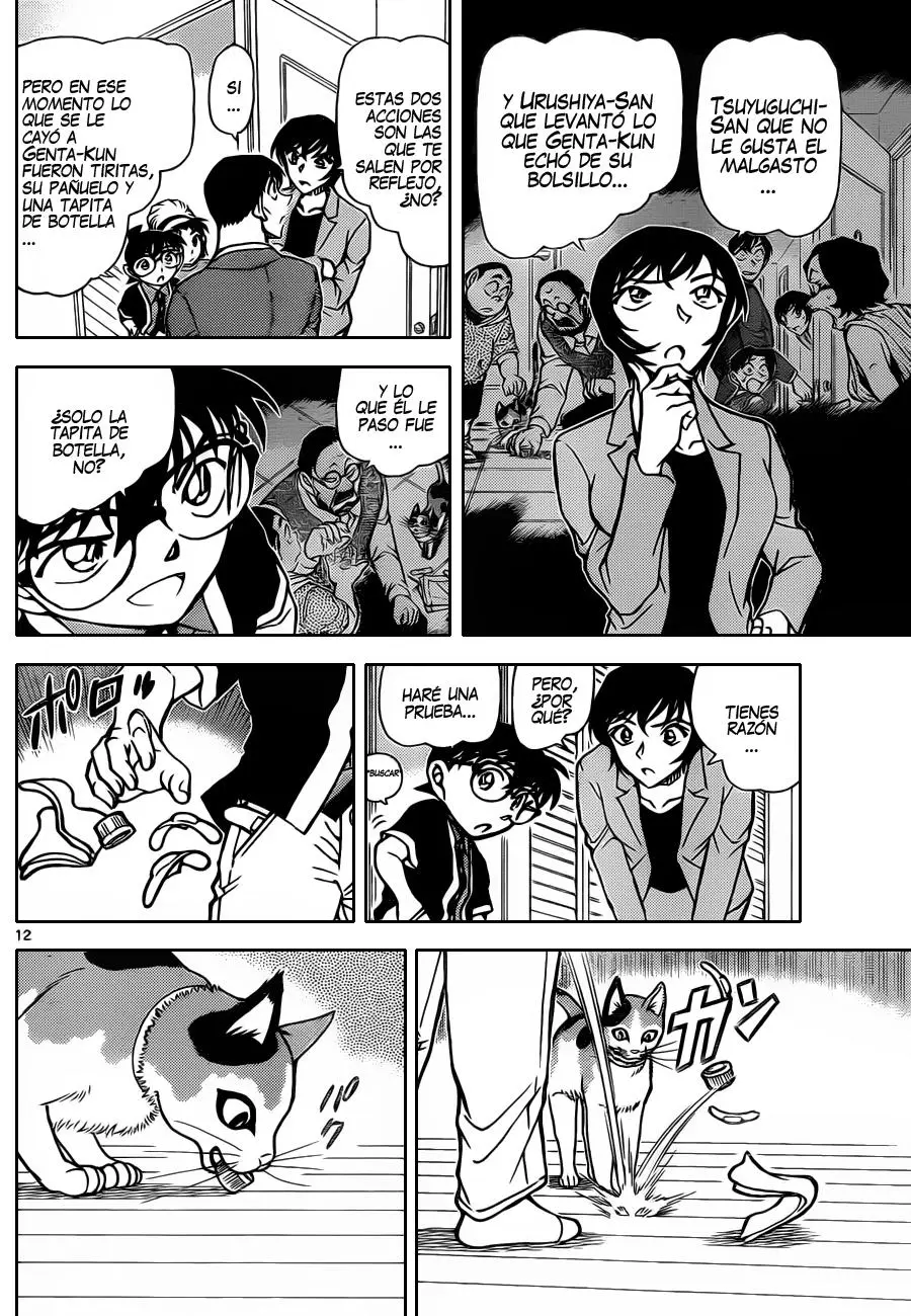 Detective Conan capítulo 868 página 13