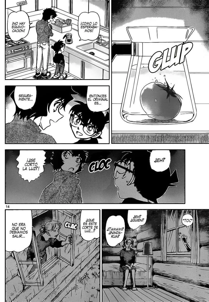 Detective Conan capítulo 873 página 15