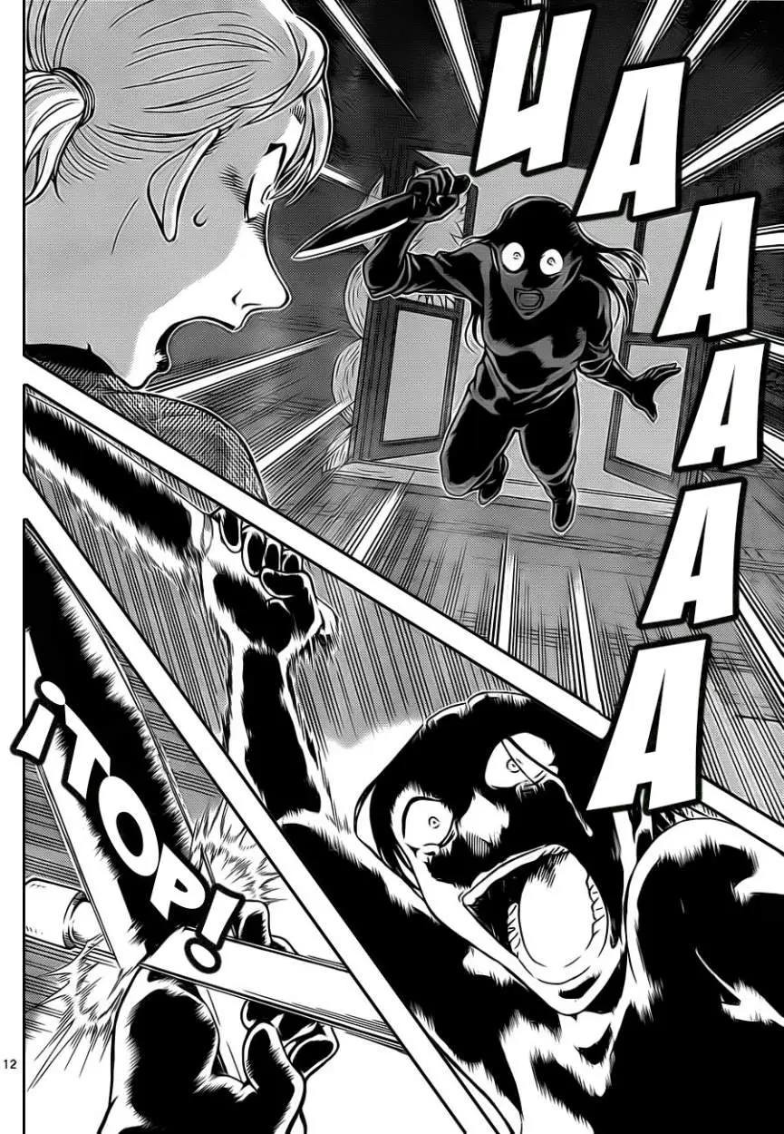 Detective Conan capítulo 875 página 13