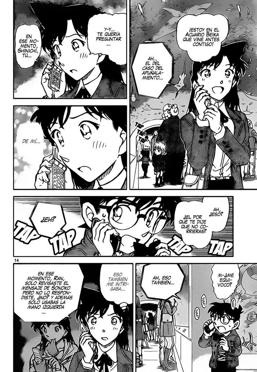 Detective Conan capítulo 884 página 15