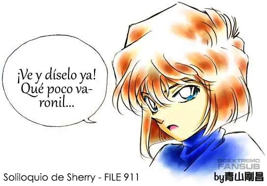 Detective Conan capítulo 911 página 18