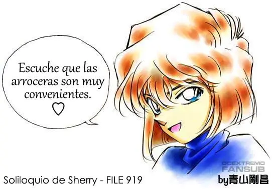 Detective Conan capítulo 919 página 18