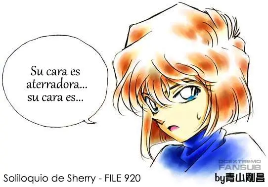 Detective Conan capítulo 920 página 19