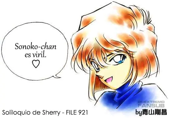 Detective Conan capítulo 921 página 17