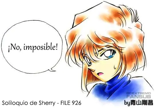 Detective Conan capítulo 926 página 18