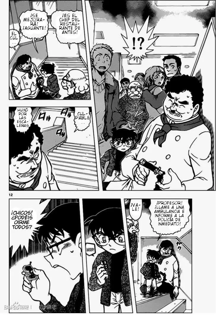 Detective Conan capítulo 939 página 13