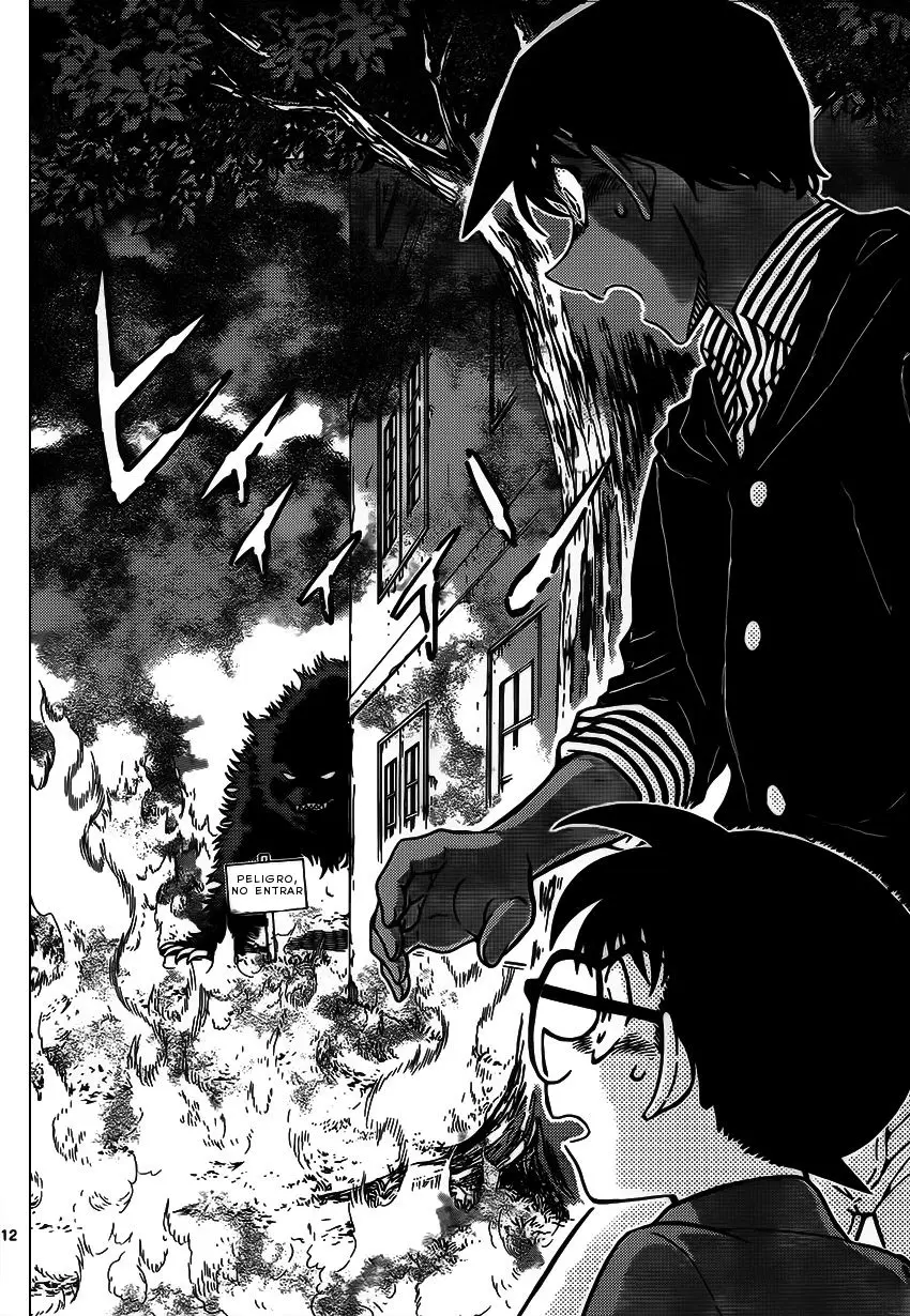 Detective Conan capítulo 959 página 13