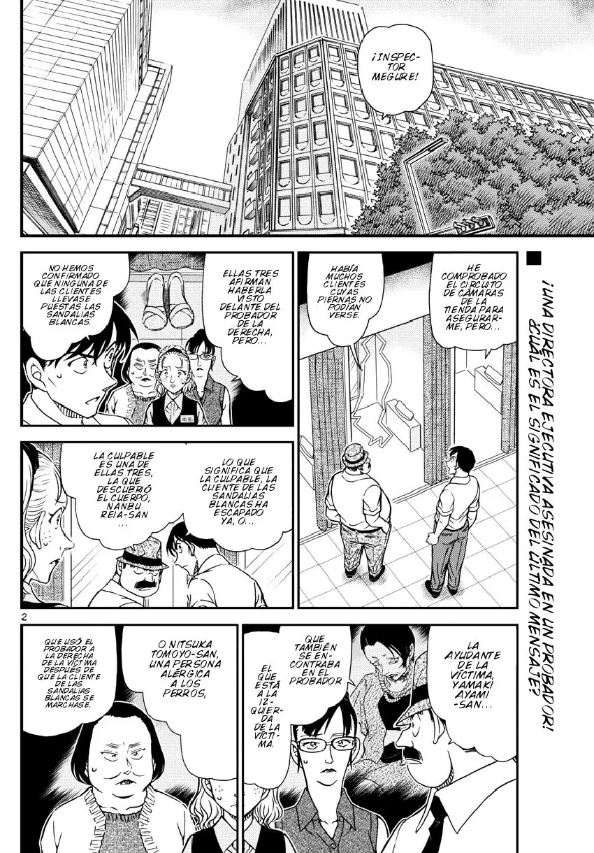 Detective Conan capítulo 971 página 3