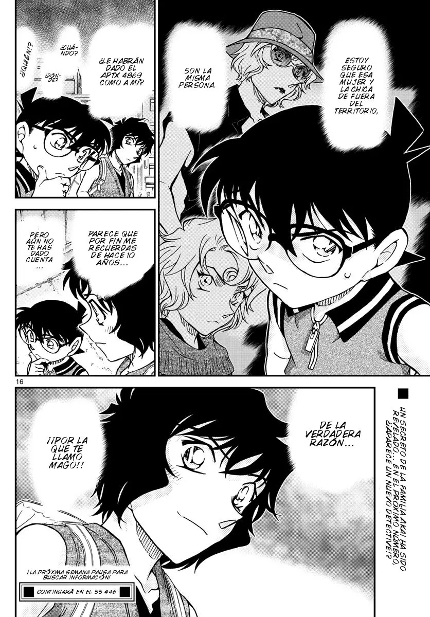 Detective Conan capítulo 974 página 17