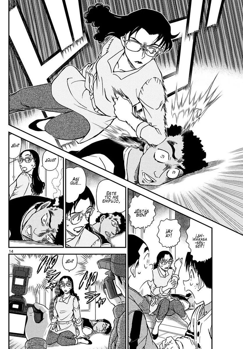 Detective Conan capítulo 980 página 15