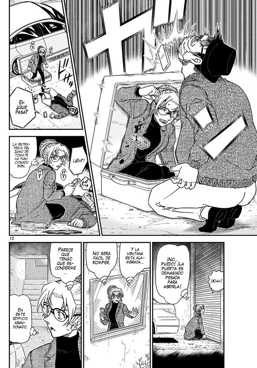 Detective Conan capítulo 984 página 13
