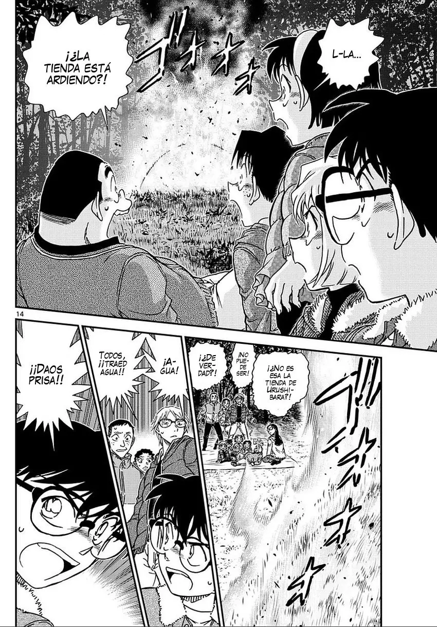 Detective Conan capítulo 987 página 15