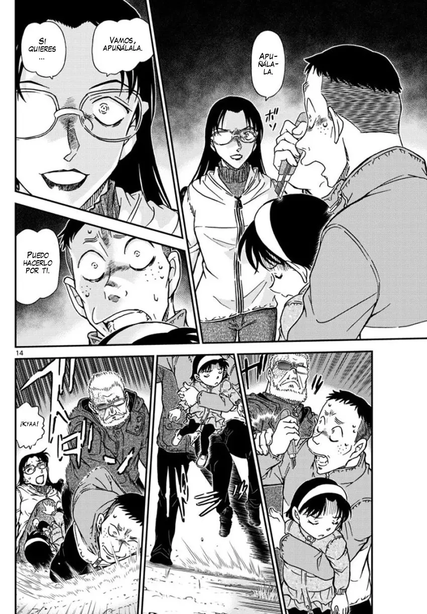 Detective Conan capítulo 989 página 15