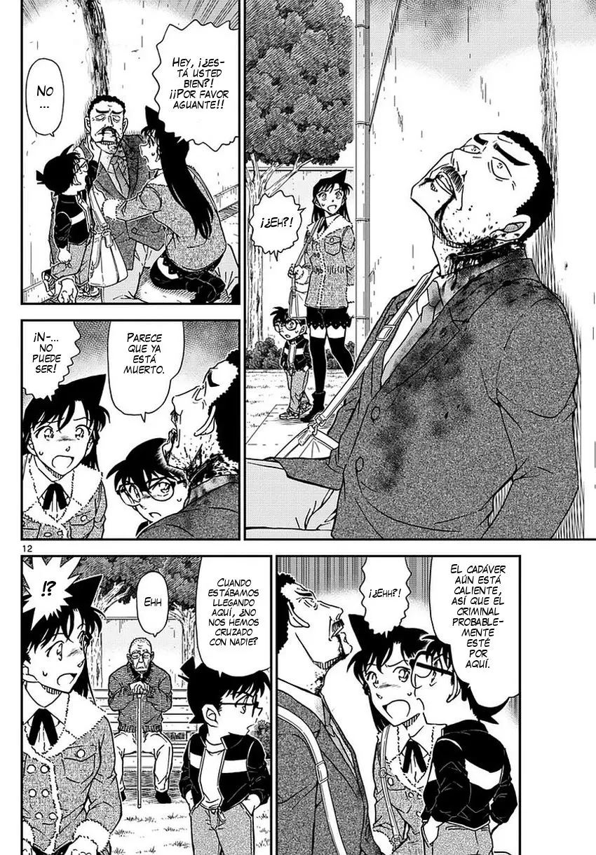 Detective Conan capítulo 990 página 13