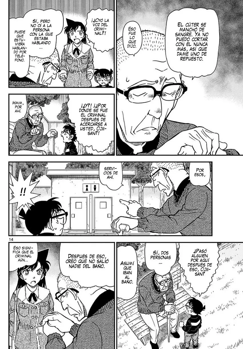 Detective Conan capítulo 990 página 15