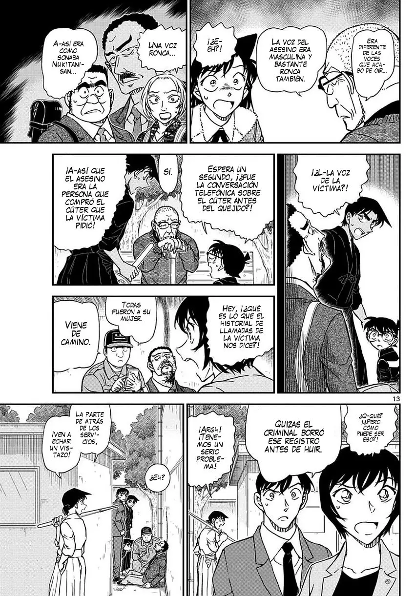 Detective Conan capítulo 991 página 14