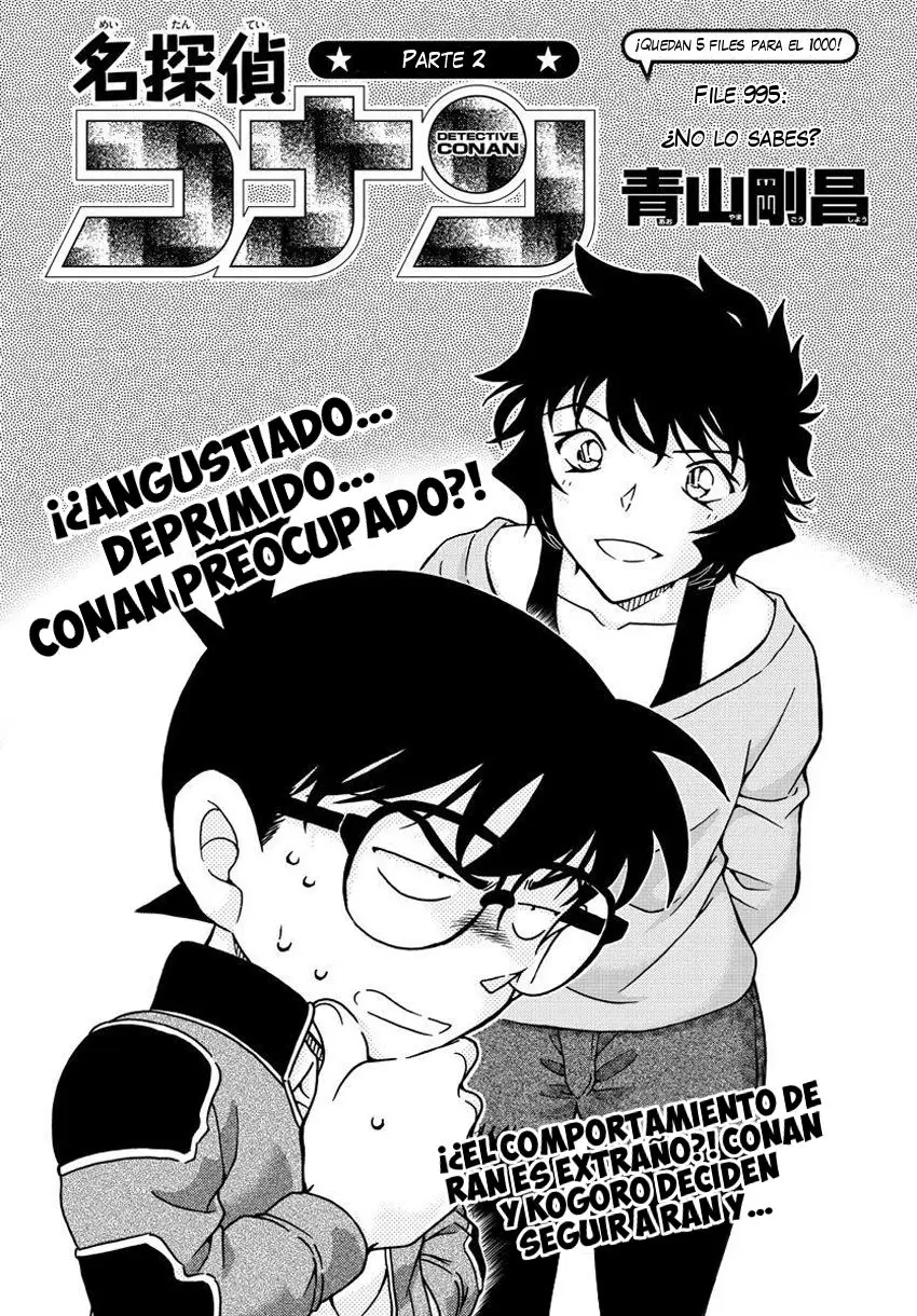 Detective Conan capítulo 995 página 2