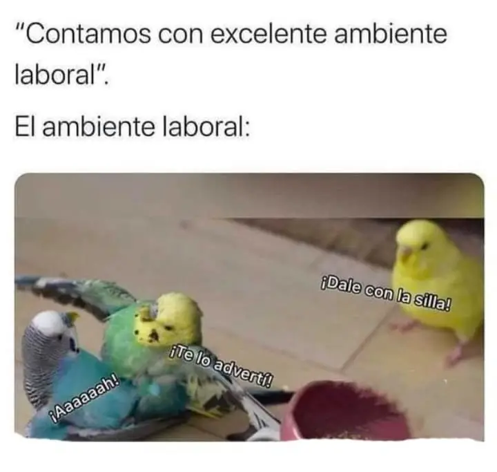 Domando la chica rebelde capítulo 31 página 26