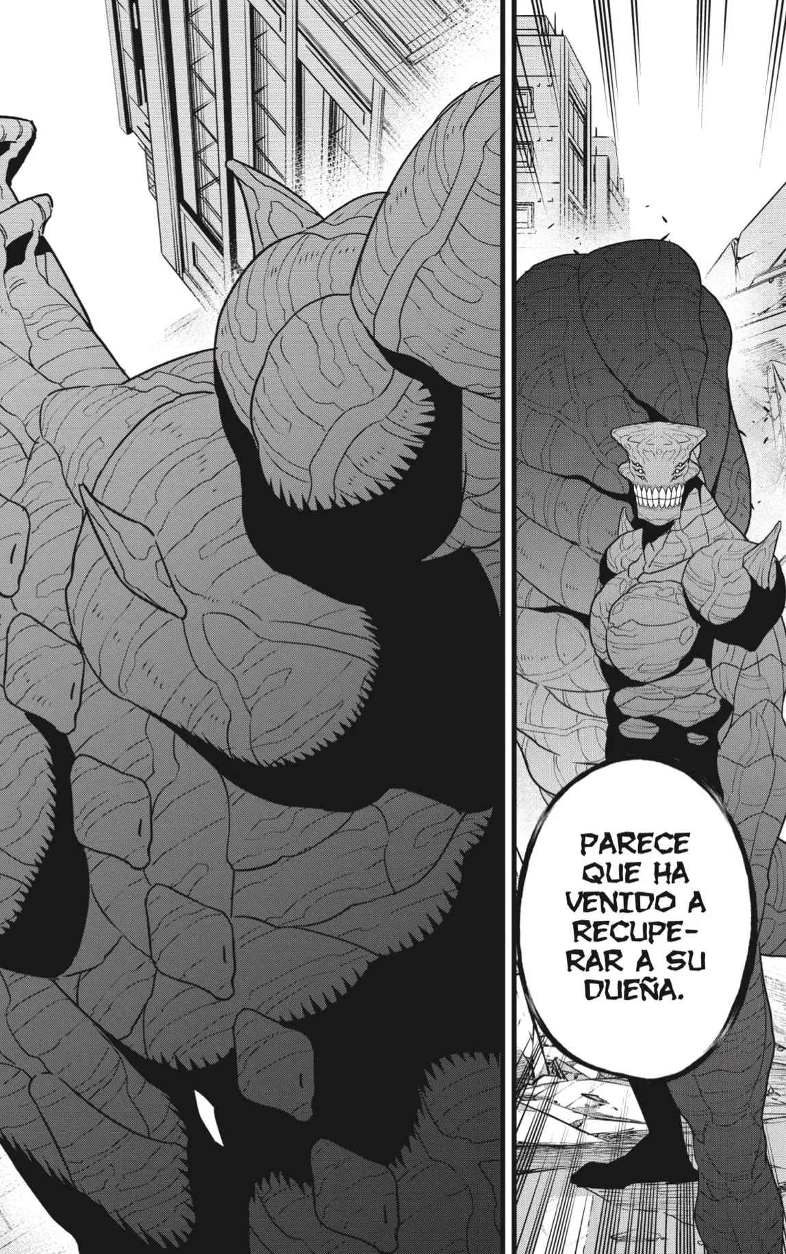 Kaiju No. 8 capítulo 103 página 12