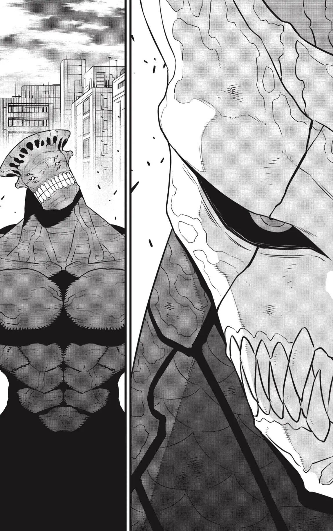 Kaiju No. 8 capítulo 105 página 15