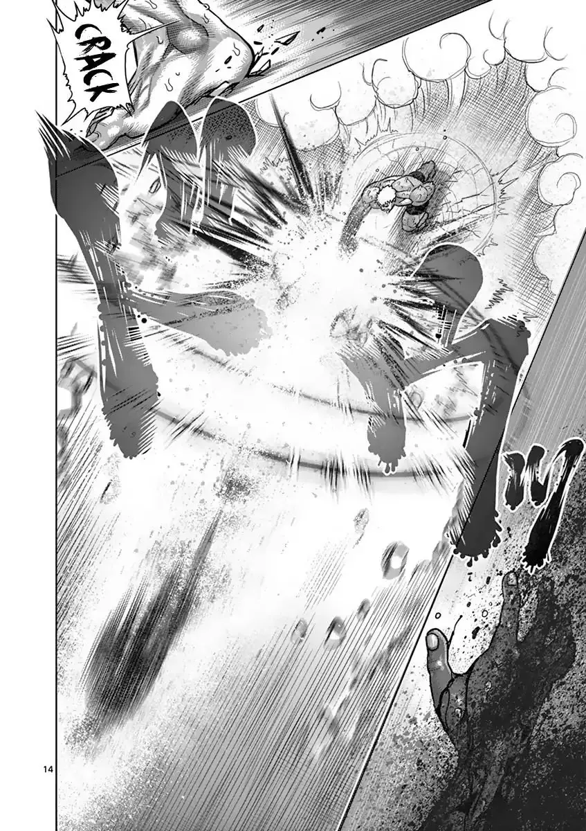 Kengan Asura capítulo 194 página 14
