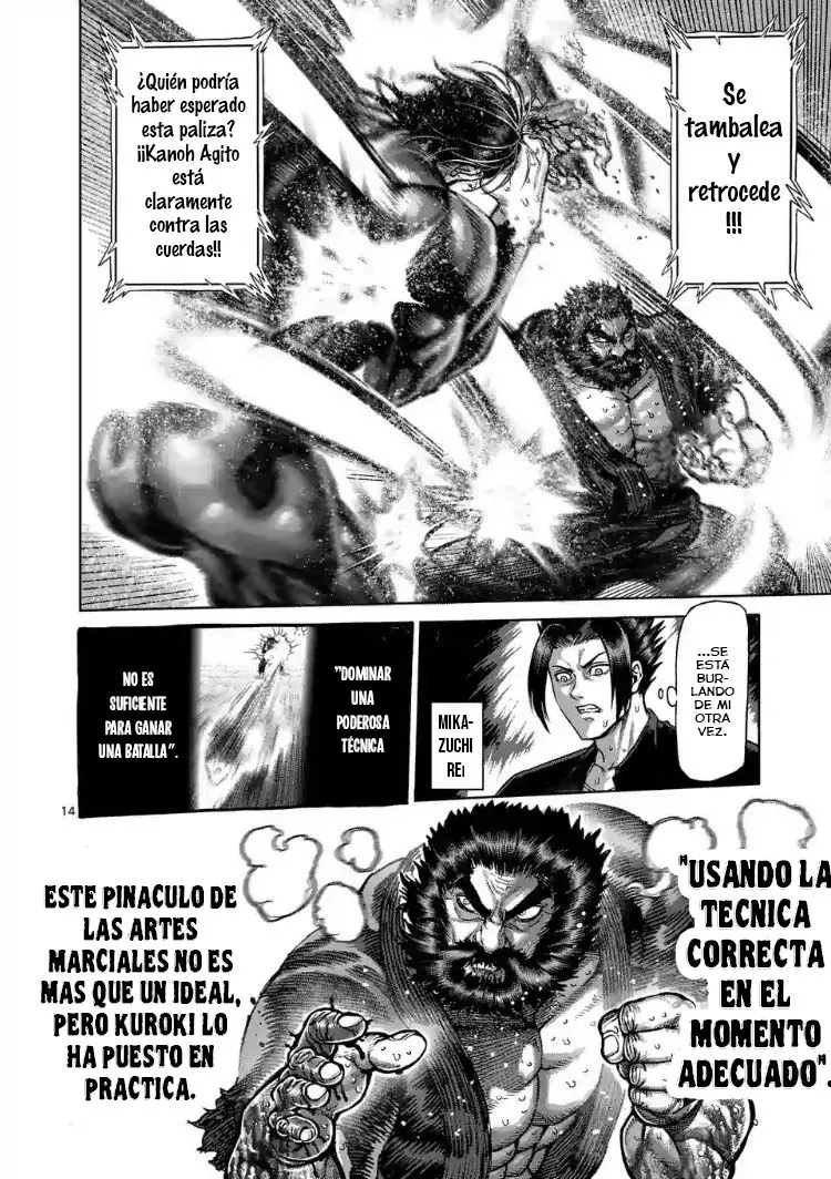 Kengan Asura capítulo 225 página 15