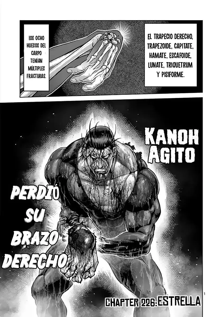 Kengan Asura capítulo 226 página 3