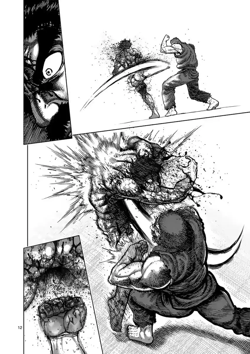 Kengan Asura capítulo 234 página 13