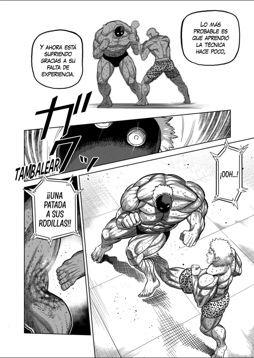 Kengan Omega capítulo 174 página 12
