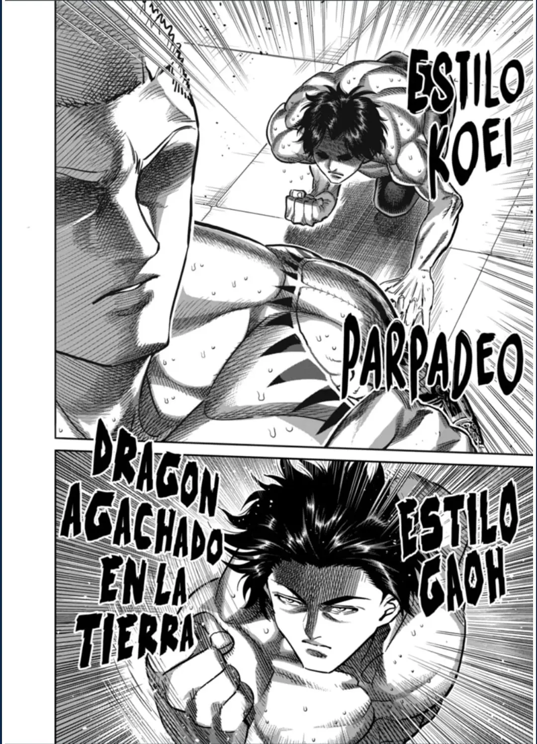 Kengan Omega capítulo 179 página 14