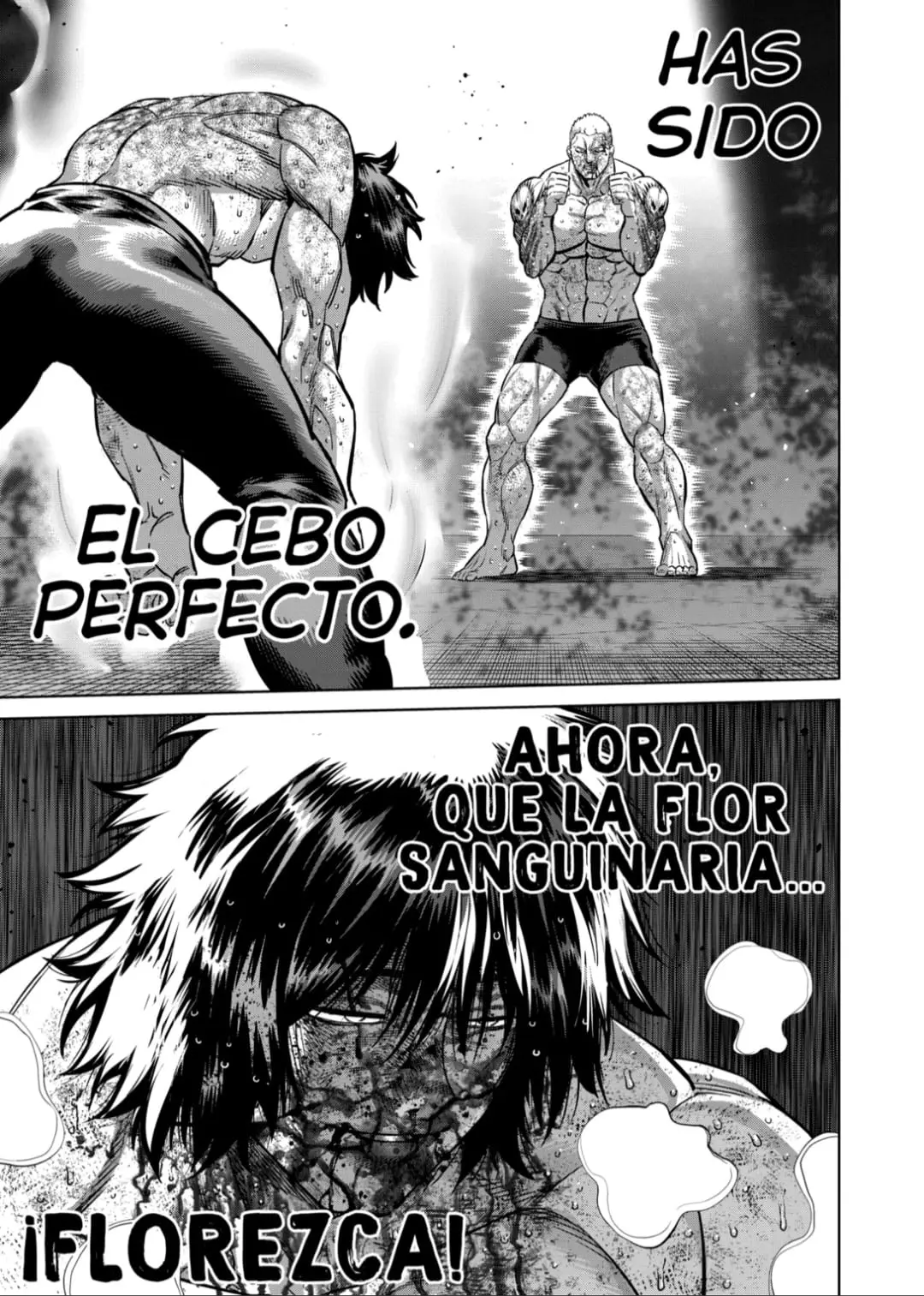 Kengan Omega capítulo 181 página 17