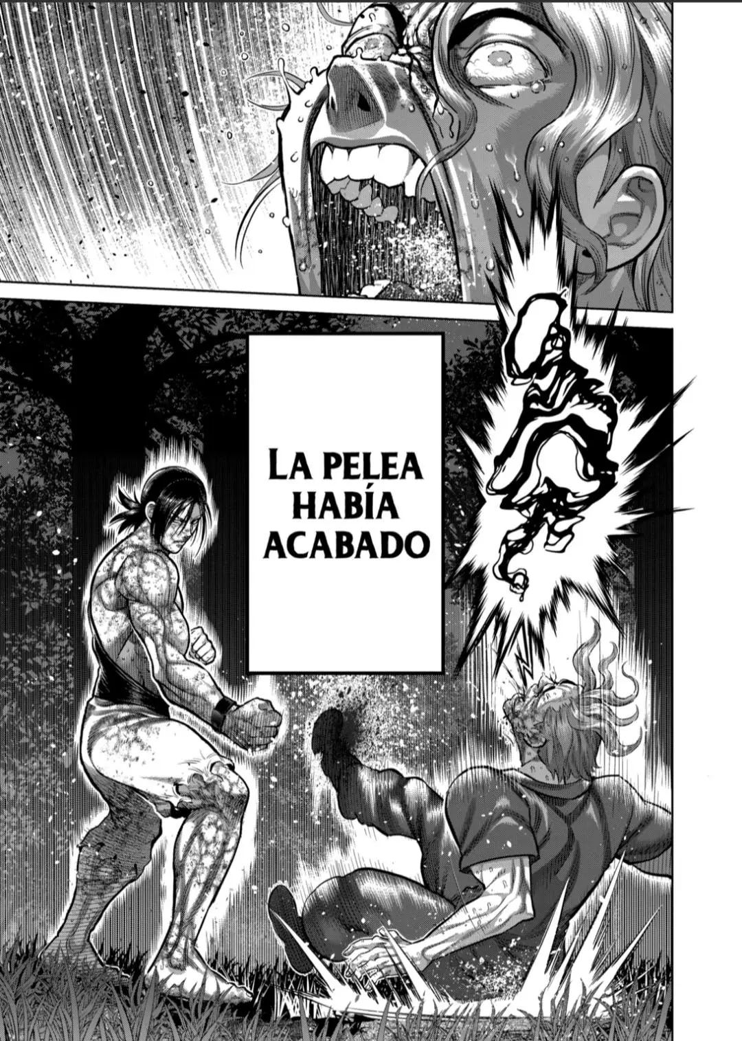 Kengan Omega capítulo 347 página 17